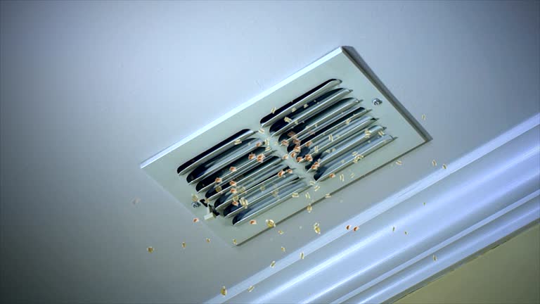 Best Ventilation Cleaning Services  in Apison, TN
