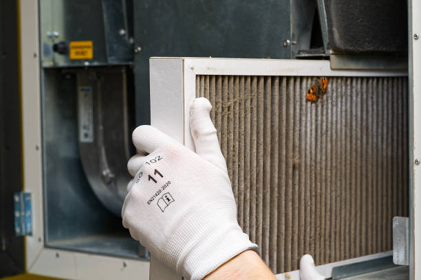 Best Professional Duct Cleaning Services  in Apison, TN
