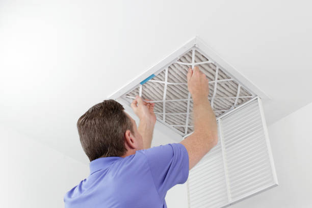Best Affordable Air Duct Cleaning  in Apison, TN